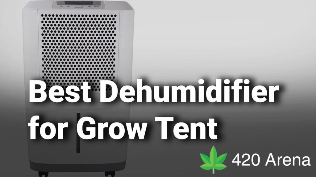 Best Dehumidifier for Grow Tent 2019: Do not buy one without watching this detailed review