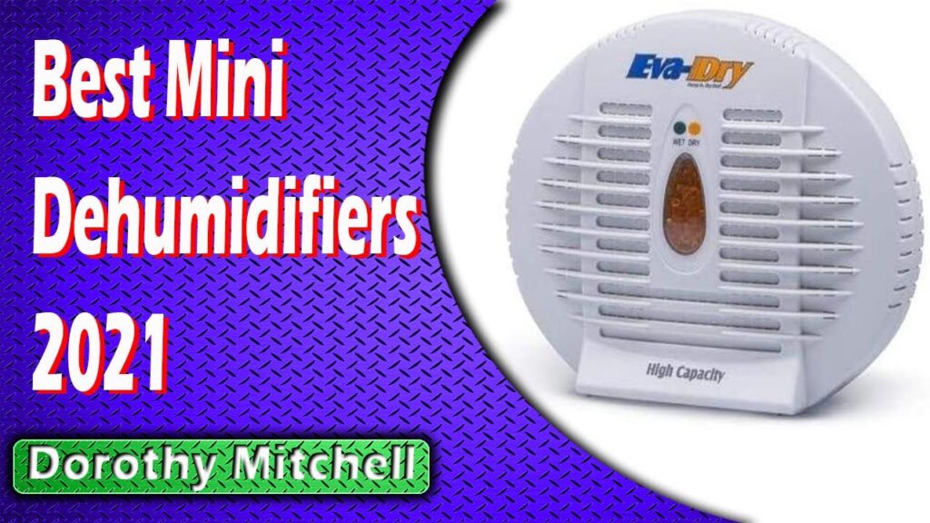 Best Mini Dehumidifiers 2021