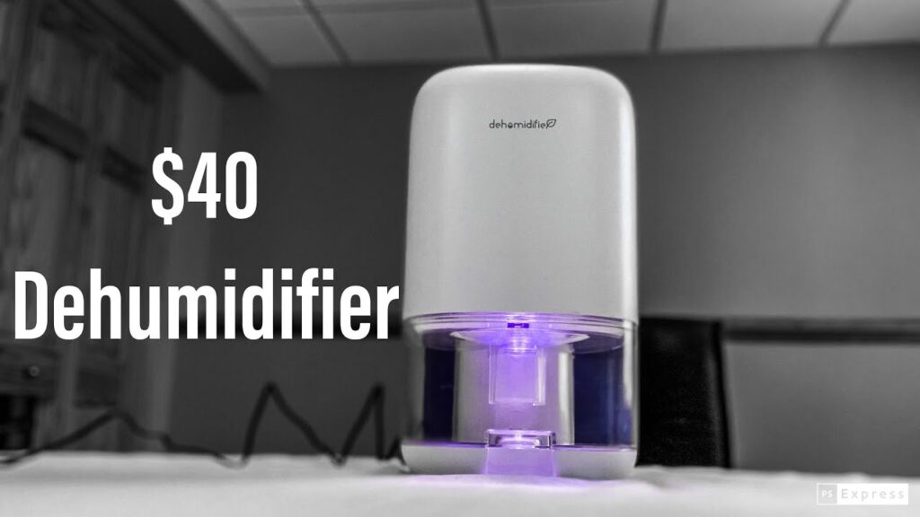 Portable Dehumidifier: Review